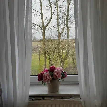 In Pilsum Mit Blick Ueber Landschaft Krummhoern